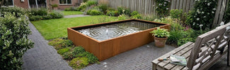 De schoonheid en voordelen van een vijver in de tuin