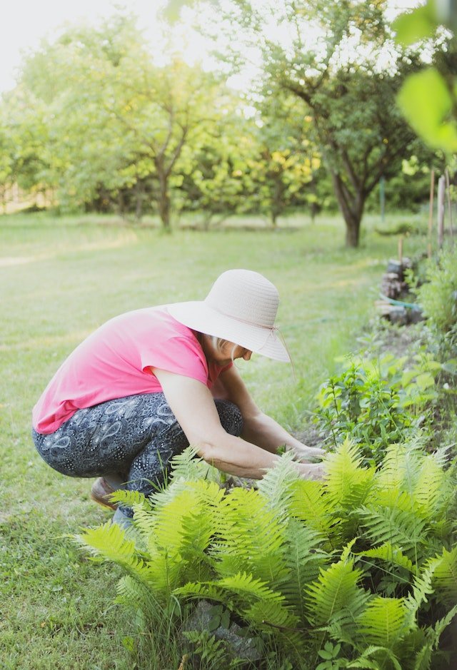 Groene Vingers Verzamelen: Ontdek de Must-Have Tuingereedschappen! - Doika