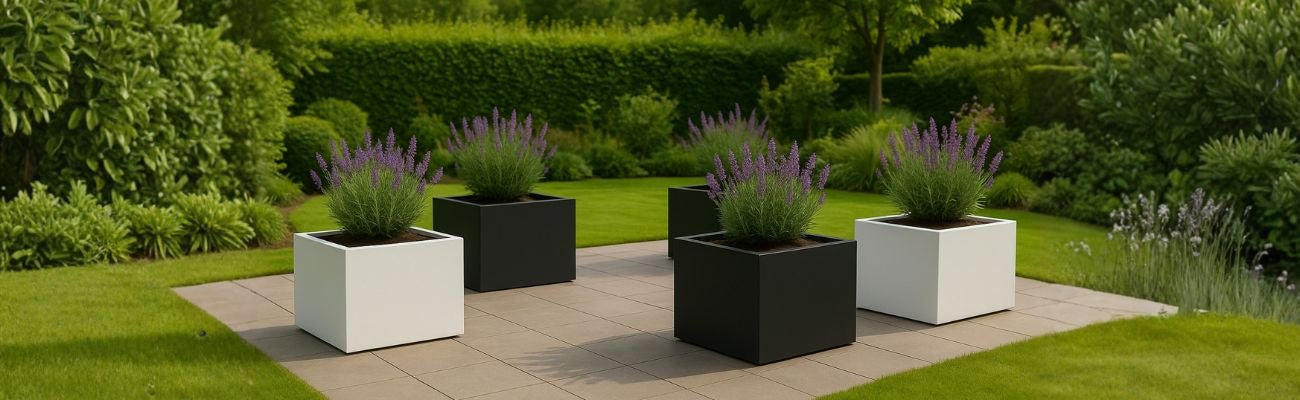 Witte vs Zwarte plantenbakken: Welke werkt het best in moderne tuinen? - Doika