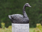 Statue en bronze d'un cygne, 16 x 9 x 22 cm
