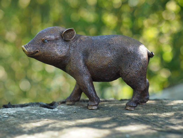 Bronzen beeld Biggetje 12x16x18cm