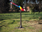 Bronzen beeld Papagaai op boom (hoofd omlaag) 140x45x60cm
