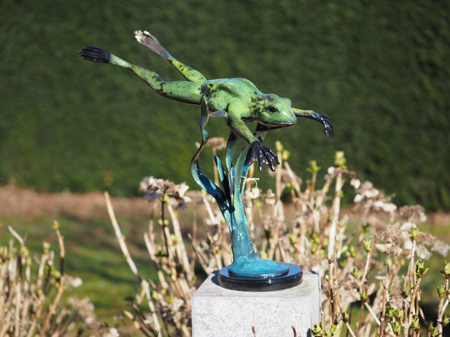 Bronzen beeld Springende kikker (naar beneden) 57x34x55cm
