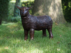 Bronzen beeld Lammetje 45x19x50cm