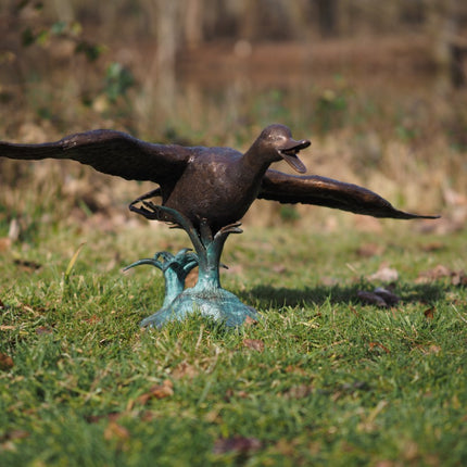 Bronzen beeld Wegvliegende eend 56x90x36cm
