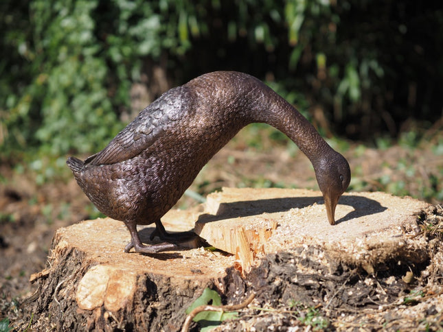Bronzen beeld Staande eend 56x23x32cm