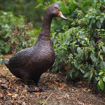 Bronzen beeld Staande eend 48x19x50cm