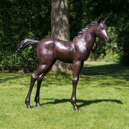 Bronzen beeld Veulen 27x127x115cm 32kg