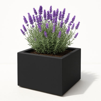 Polyester plantenbak 60x60x40 cm - Gitzwart (RAL 9005)