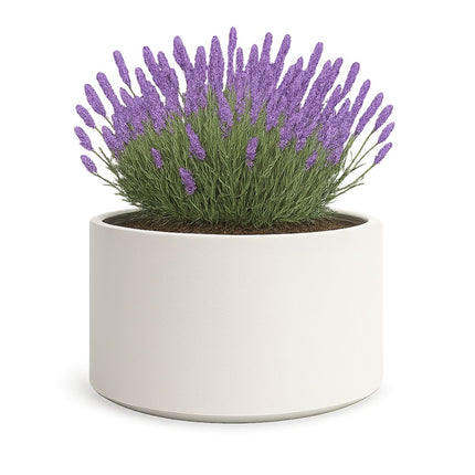 Polyester plantenbak Ø 100x60 cm - Zuiver Wit (RAL 9010)