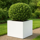 Polyester plantenbak 80x80x60 cm - Zuiver WIt (RAL 9010)