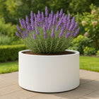 Polyester plantenbak Ø 120x60 cm - Zuiver Wit (RAL 9010)