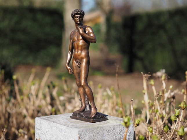 Bronzen beeld David van Michelangelo 40cm 40x0x0cm - Doika - Bronzen beeld - Doika - 5410807015292 - BS1529B