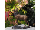 Bronzen beeld Klein hert 28x12x32cm - Doika - Bronzen beeld - Doika - 5410807011850 - AN1185BR-B