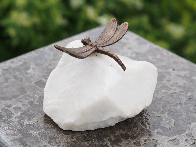 Bronzen beeld Kleine libelle 3x7x8cm - Doika - Bronzen beeld - Doika - 5410807010617 - AN1061BR-B