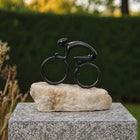 Bronzen Beeld Pedal To The Top 19x9x19 cm - Doika - Bronzen beeld - Thermobrass - 5410807915615 - BS1561B