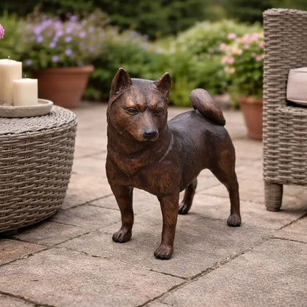 Bronzen Beeld Shiba Inu 40x15x43 cm - Doika - Thermobrass - 5410807221105 - B22110