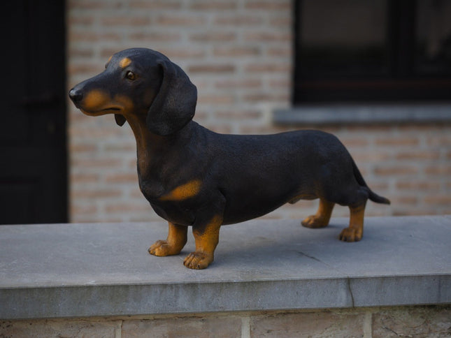 Bronzen beeld Tekkel Gekleurd 33x17x69cm - Doika - Bronzen beeld - Doika - 5410807914700 - B1470-C