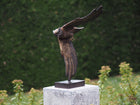 Bronzen beeld Uil 48x24x35cm - Doika - Bronzen beeld - Doika - 5410807013212 - AN1321BR-B