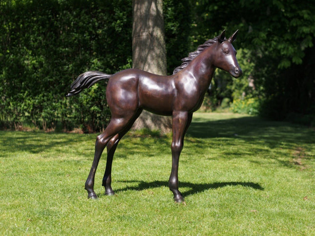 Bronzen beeld Veulen 27x127x115cm 32kg - Doika - Bronzen beeld - Doika - 5410807610817 - PB61081