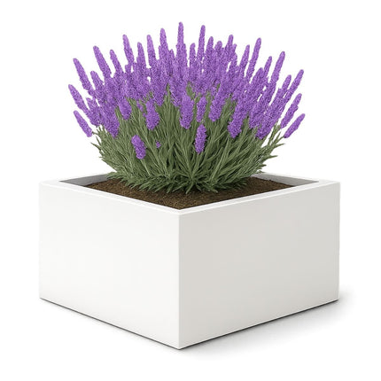 GARDRA Polyester plantenbak 120x120x60 cm - Zuiver Wit (RAL 9010) - Doika - Plantenbak - GARDRA -  - DOIKA-AP-07.3-RAL-9010