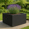 GARDRA Polyester plantenbak 160x160x80 cm - Gitzwart (RAL 9005) - Doika - Plantenbak - GARDRA -  - DOIKA-AP-16-RAL-9005