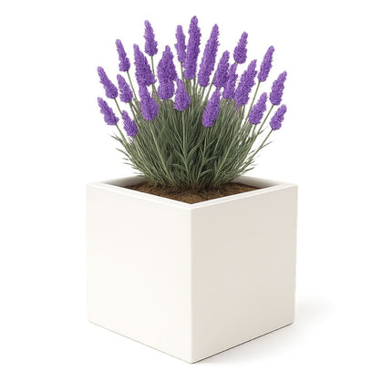 GARDRA Polyester plantenbak 40x40x40 cm - Zuiver Wit (RAL 9010) - Doika - Plantenbak - GARDRA -  - DOIKA-Ap-1-9010-RAL-9005
