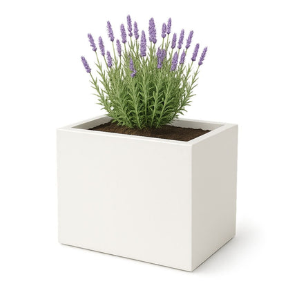 GARDRA Polyester plantenbak 70x50x60 cm - Zuiver Wit (RAL 9010) - Doika - Plantenbak - GARDRA -  - DOIKA-BP-17-RAL-9010