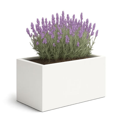 GARDRA Polyester plantenbak 75x35x40 cm - Zuiver Wit (RAL 9010) - Doika - Plantenbak - GARDRA -  - DOIKA-BP-08-RAL-9010
