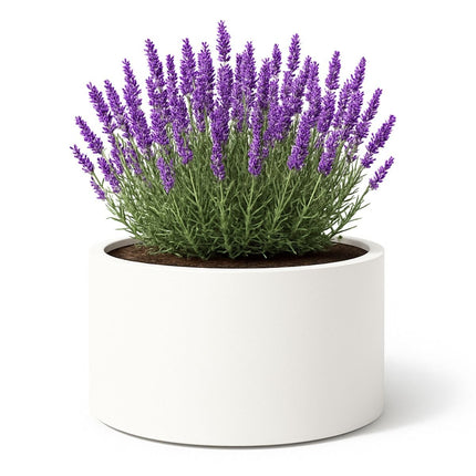 GARDRA Polyester plantenbak Ø 120x60 cm - Zuiver Wit (RAL 9010) - Doika - Plantenbak - GARDRA -  - DOIKA-FP-2 9010
