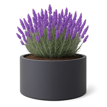 GARDRA Polyester plantenbak Ø 120x60 cm - Zwartgrijs (RAL 7021) - Doika - Plantenbak - GARDRA -  - DOIKA-FP-2 7021