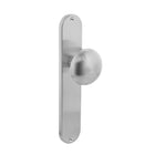 Intersteel Knop Paddenstoel op schild blind rvs geborsteld - Doika - Knoppen op schild - Intersteel - 8714186039694 - 35,269,511