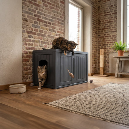 Kattenhuis Lilou Zwart