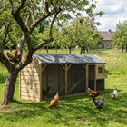 Kippenhok Evan 393 x 95 x 148 cm