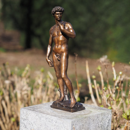 Bronzen beeld David van Michelangelo 30cm 30x6x10cm