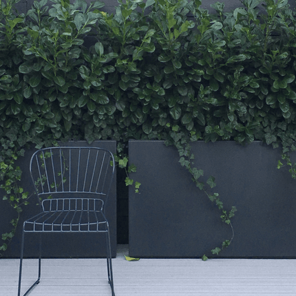 Adezz Buxus polyester plantenbak 120x40x40 cm - Doika - Plantenbak - Adezz - PB25.2